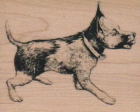 Dog Run 2 1/2 X 3 1/4