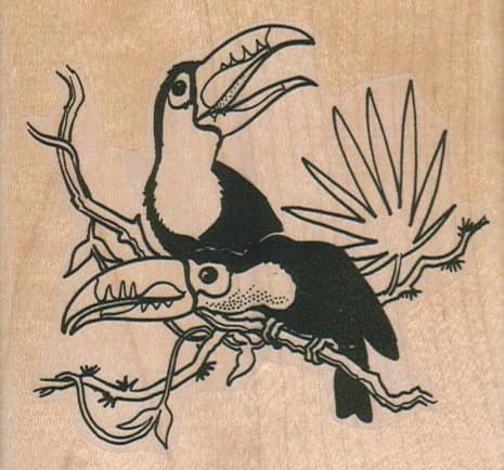 Two Toucans On Branch 3 1/4 X 3