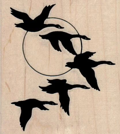 Flight O' Birds 3 X 3 1/4