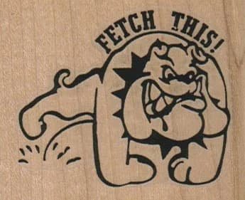 Fetch This 2 1/2 X 2