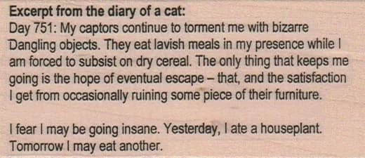 Excerpt From/day 751 1 3/4 X 3 1/2