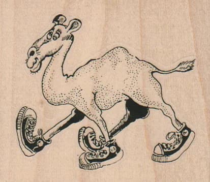 Camel In Sneakers 3 X 2 1/2