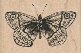 Butterfly 2 X 1 1/4
