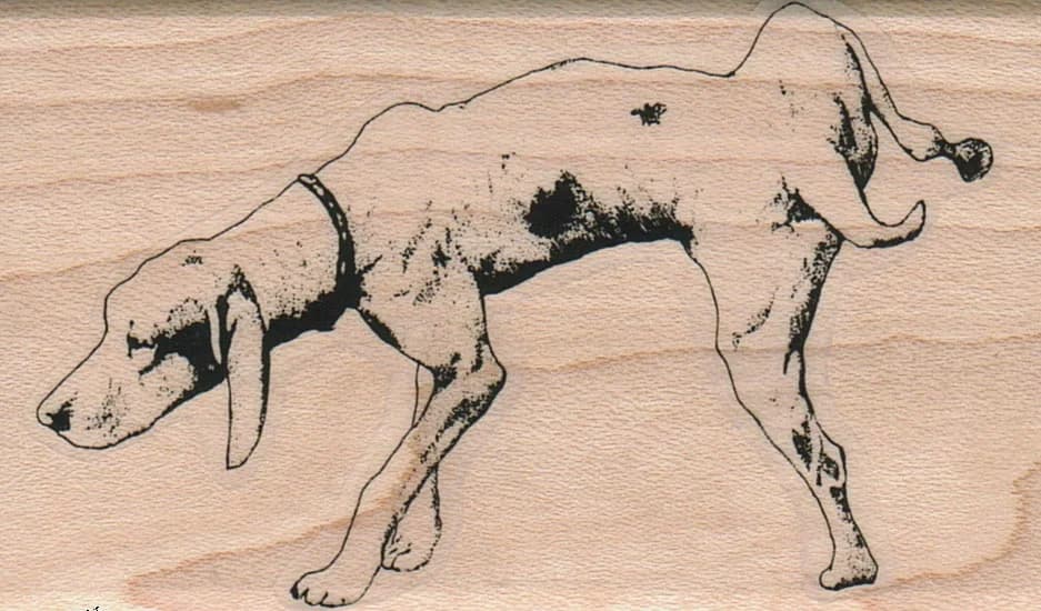 Pointer Dog Lifting Leg 2 X 3 1/4