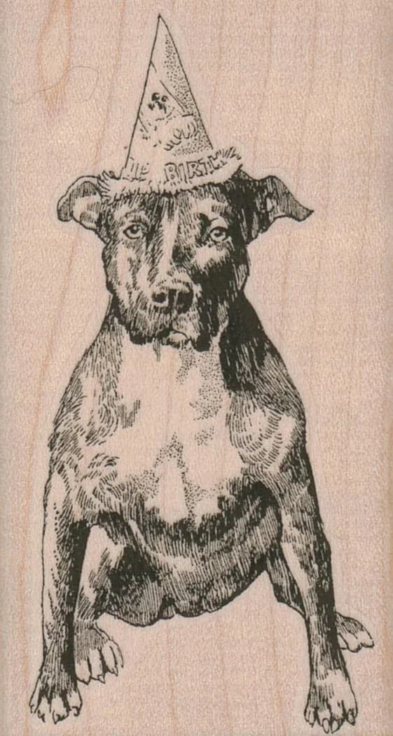 Pit Bull Party Dog 2 X 3 1/2