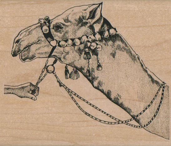 Camel Head 3 1/4 X 3 3/4