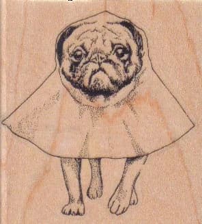 Caped Pug 2 1/4 X 2 1/4