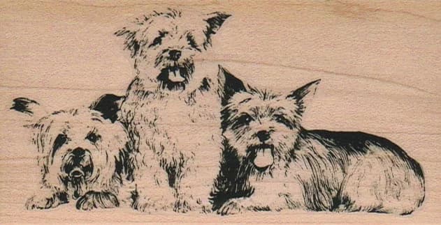 Dog Trio 2 1/4 X 4 1/4