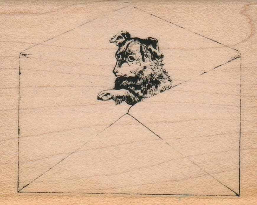 Dog In Envelope 2 1/2 X 3