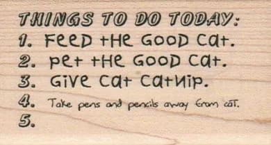 Things To Do Today/cat 1 3/4 X 3