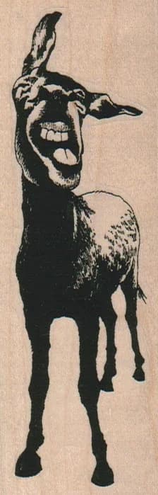 Braying Donkey 1 3/4 X 4 3/4