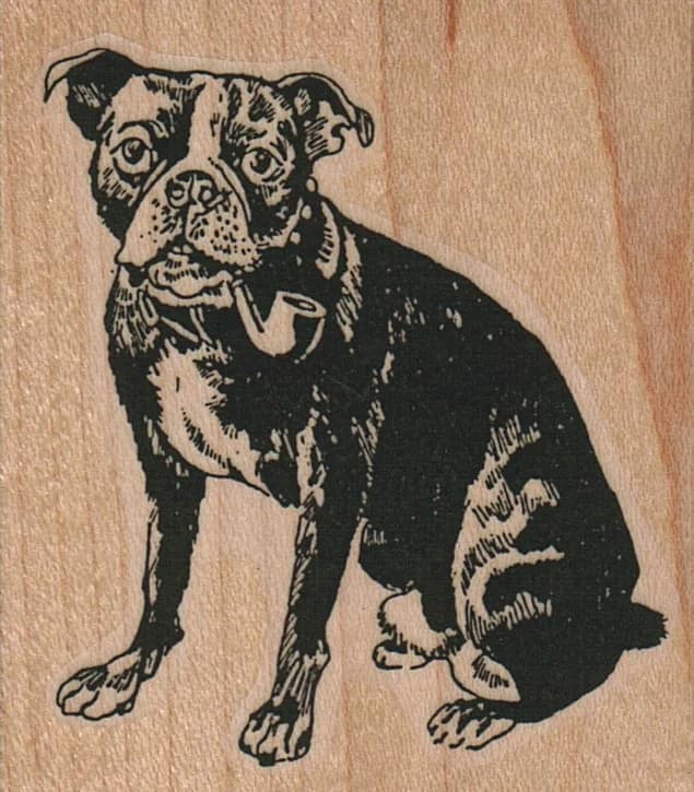 Bulldog/mastiff Smoking Pipe 2 1/4 X 2 1/2
