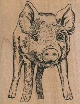 Pigface 2 X 2 1/2