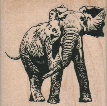 Elephant Side 2 1/2 X 2 1/2