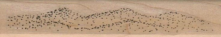 Sand Dunes 1 X 5