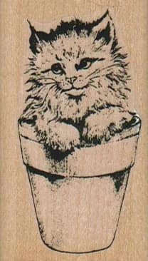 Kitty In Pot 1 1/2 X 2 1/2