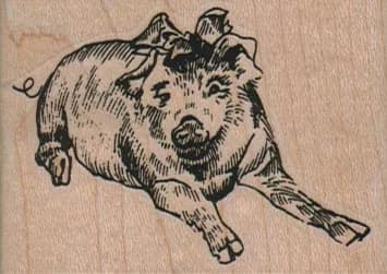 Pig Bow 2 1/2 X 1 3/4
