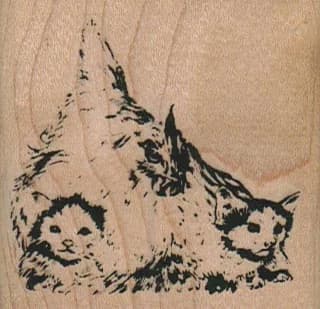 Hen And Kittens 2 1/4 X 2 1/4