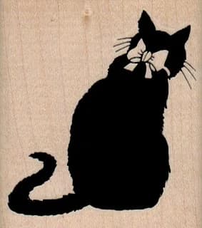 Black Cat Back 2 X 2 1/4