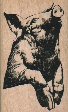 Pig Leaning 2 X 3 1/4
