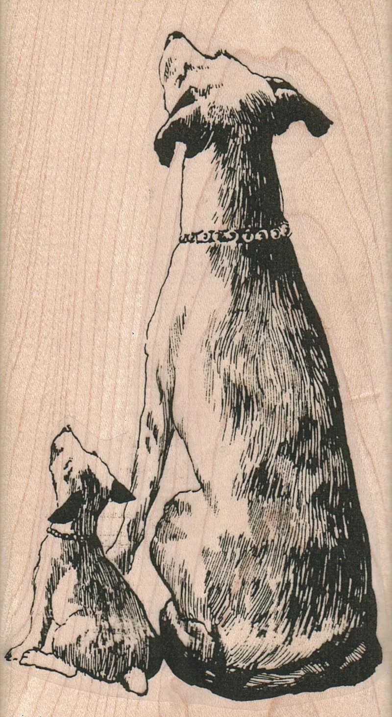 Dogs Looking Up 2 3/4 X 5