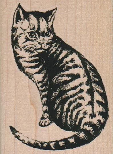 Cat Looking Back 2 3/4 X 3 3/4