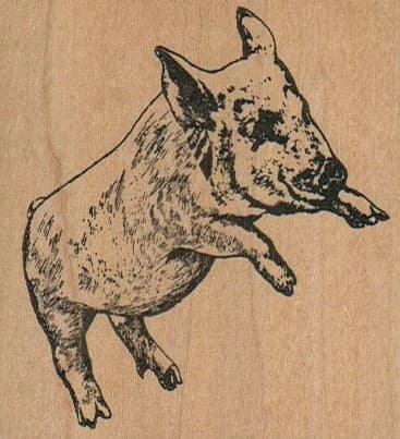 Pig 2 3/4 X 2