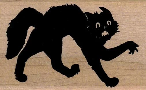 Scary Cat 2 1/4 X 3 1/2