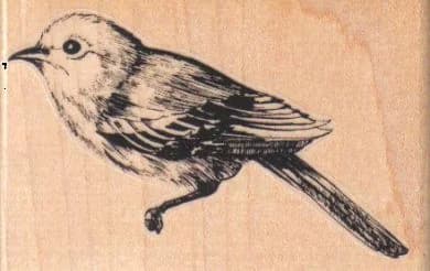 Bird Facing Left/large 3 X 2