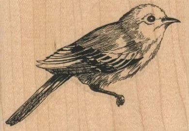 Bird Facing Right/large 3 X 2