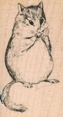 Chipmunk 1 3/4 X 2 3/4