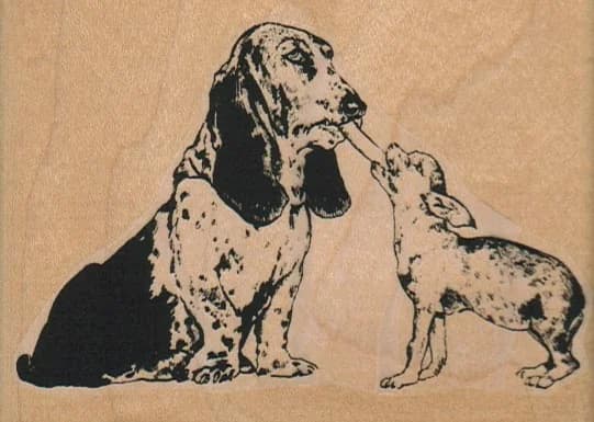 Dog Pull 3 3/4 X 2 3/4