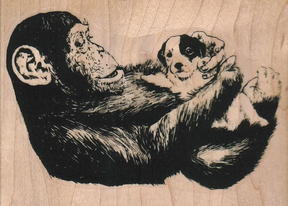 Monkey And Pup 3 3/4 X 2 3/4