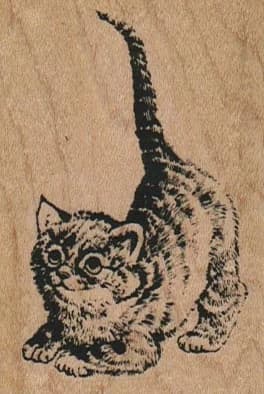 Cat Looking Up 2 X 2 3/4
