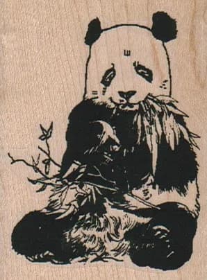 Panda Eating 2 1/4 X 2 3/4