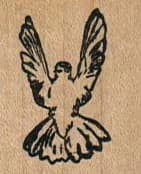 Bird Wings 1 X 1 1/4