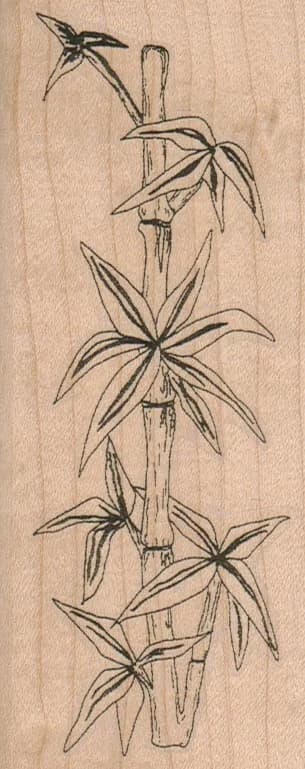 Bamboo Stalk 2 1/4 X 5 1/4