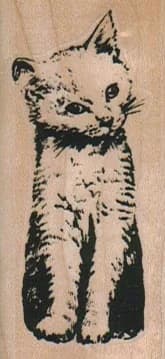Cat Inquisitive/small 1 1/4 X 2 1/2