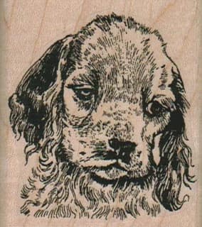 Pensive Dog 2 X 2 1/4