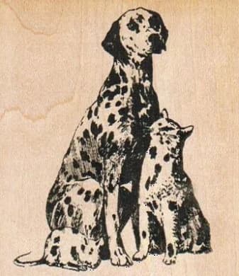 Spotted Trio 2 1/2 X 2 3/4