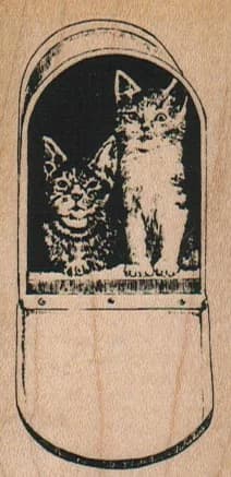 Kitties In Mail Box 1 1/2 X 3