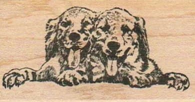 Dog Pals 1 1/2 X 2 3/4
