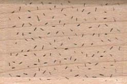 Texture/random Line Rect 1 3/4 X 1 1/4