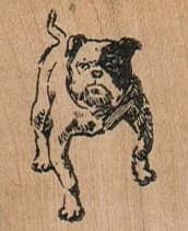 Bulldog Angry 1 1/4 X 1 1/2