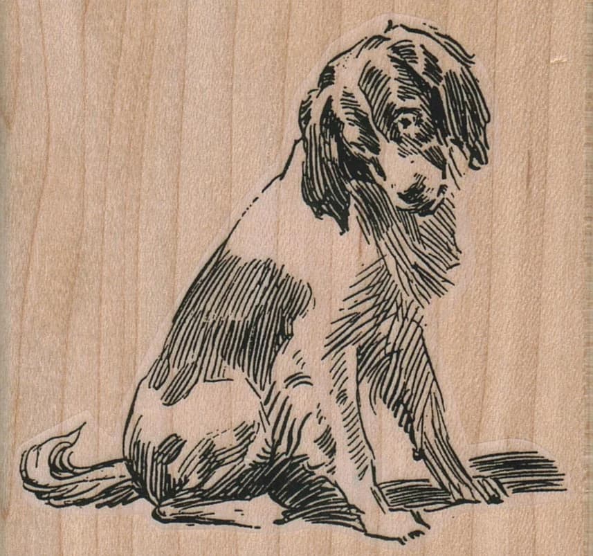 Dog Looking Down 3 X 2 3/4