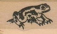 Frog 3/4 X 1