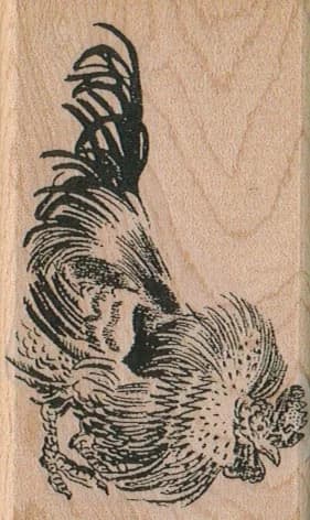 Rooster 2 X 3 1/4