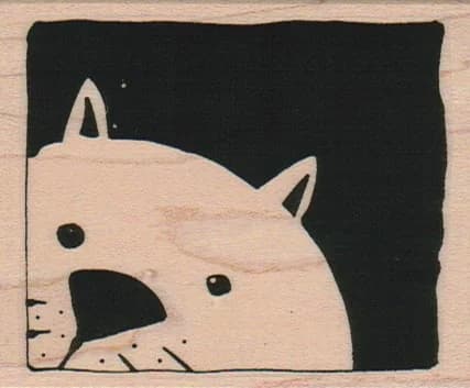 Kitty Peeking 2 1/2 X 3