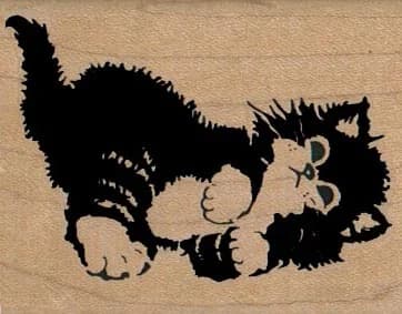 Cuddly Kitty Cat 2 X 2 1/2