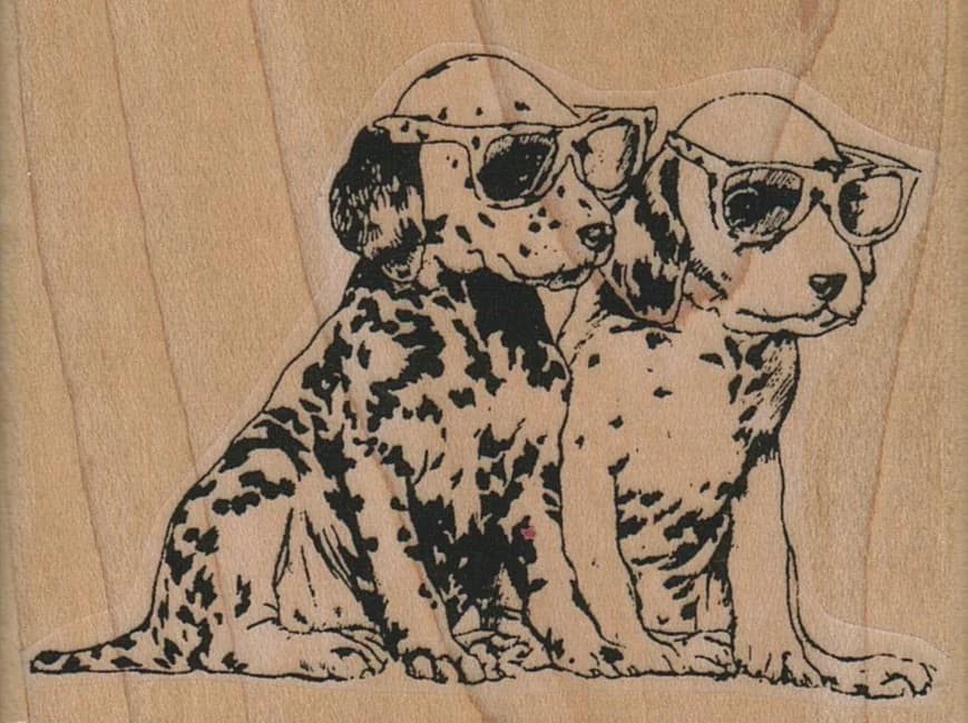 Spotted Dalmatians 3 X 2 1/4